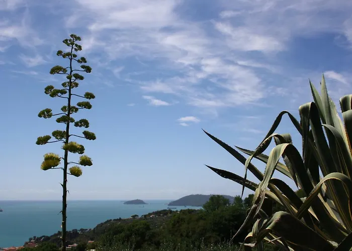 Agave Di Lerici